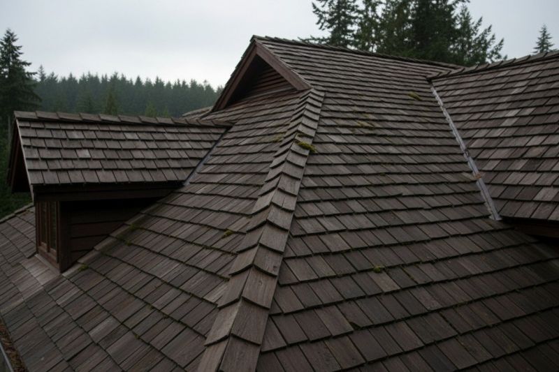Wood Shake Roof Replacement in East Greenwich, RI